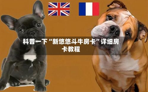 科普一下“新悠悠斗牛房卡”详细房卡教程