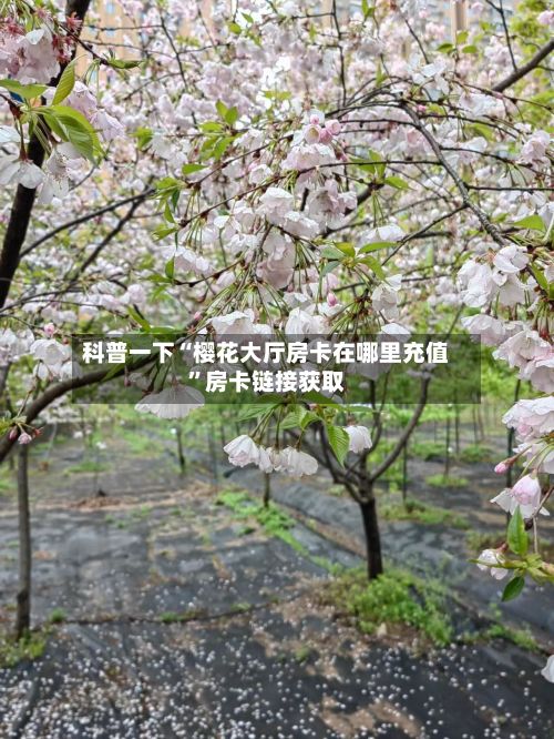 科普一下“樱花大厅房卡在哪里充值”房卡链接获取