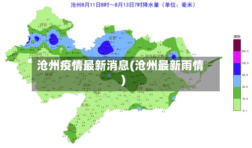沧州疫情最新消息(沧州最新雨情)