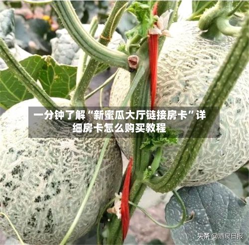 一分钟了解“新蜜瓜大厅链接房卡”详细房卡怎么购买教程-第2张图片