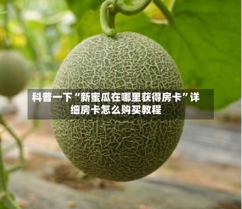 科普一下“新蜜瓜在哪里获得房卡”详细房卡怎么购买教程-第3张图片