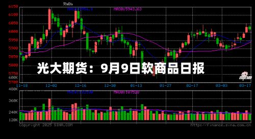 光大期货:9月9日软商品日报-第1张图片