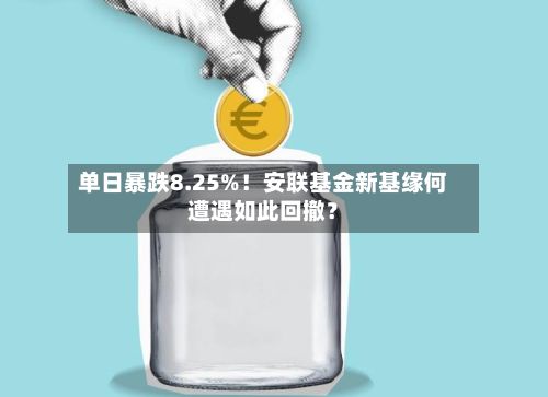 单日暴跌8.25%!安联基金新基缘何遭遇如此回撤?