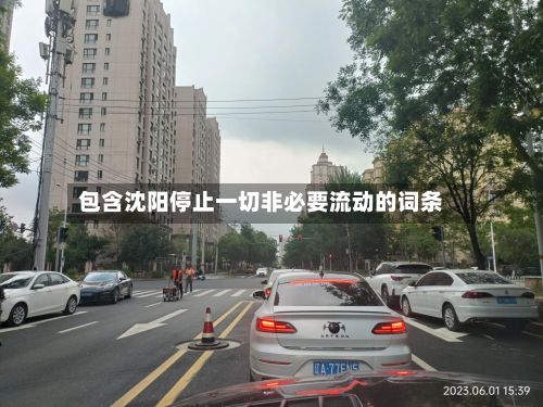 包含沈阳停止一切非必要流动的词条-第3张图片