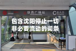 包含沈阳停止一切非必要流动的词条