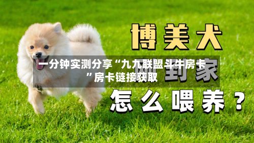一分钟实测分享“九九联盟斗牛房卡”房卡链接获取-第2张图片
