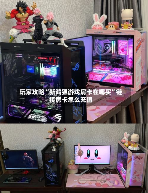 玩家攻略“新鸿狐游戏房卡在哪买”链接房卡怎么充值-第2张图片