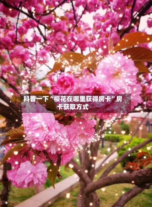 科普一下“樱花在哪里获得房卡”房卡获取方式-第2张图片