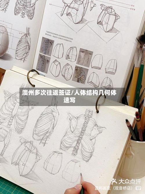 澳州多次往返签证/人体结构几何体速写-第2张图片