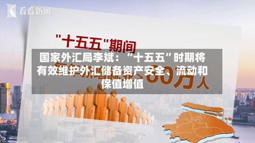 国家外汇局李斌：“十五五”时期将有效维护外汇储备资产安全、流动和保值增值-第2张图片