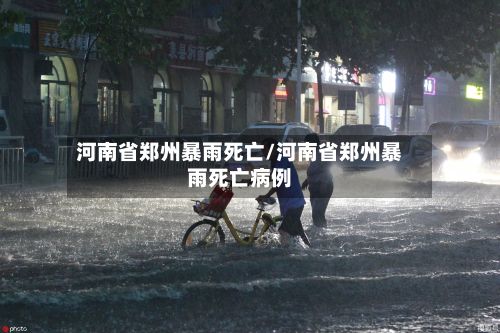 河南省郑州暴雨死亡/河南省郑州暴雨死亡病例-第2张图片