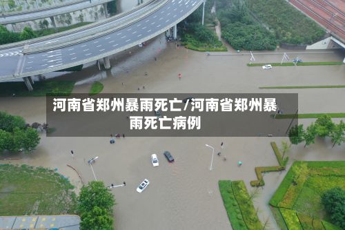河南省郑州暴雨死亡/河南省郑州暴雨死亡病例-第3张图片