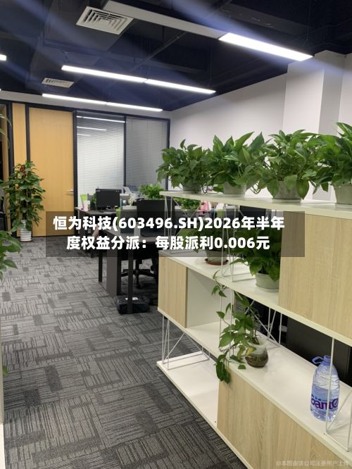 恒为科技(603496.SH)2026年半年度权益分派：每股派利0.006元