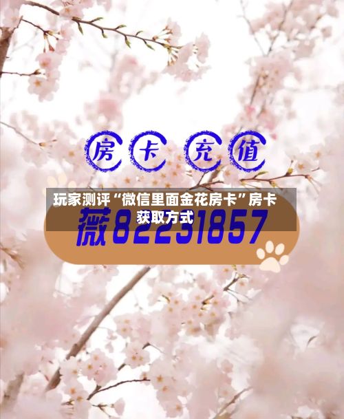 玩家测评“微信里面金花房卡	”房卡获取方式-第2张图片