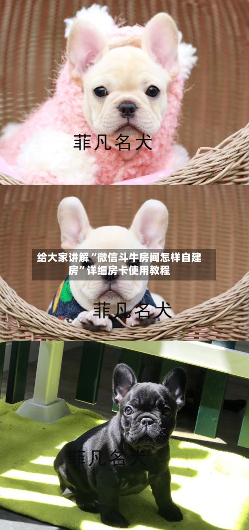 给大家讲解“微信斗牛房间怎样自建房”详细房卡使用教程-第2张图片
