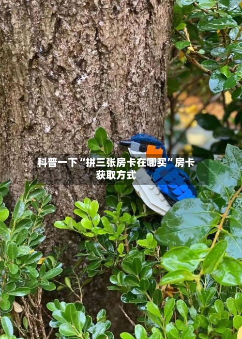 科普一下“拼三张房卡在哪买”房卡获取方式-第2张图片