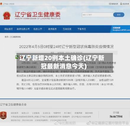 辽宁新增20例本土确诊(辽宁新冠最新消息今天)