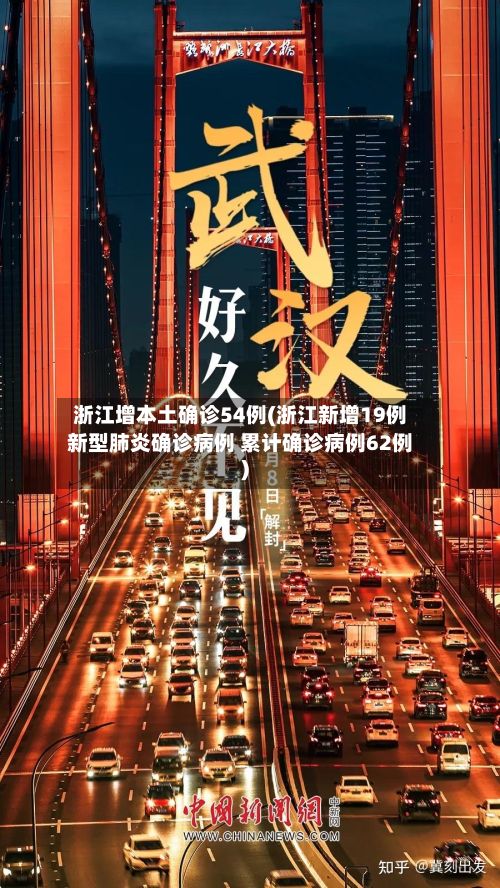浙江增本土确诊54例(浙江新增19例新型肺炎确诊病例 累计确诊病例62例)-第3张图片