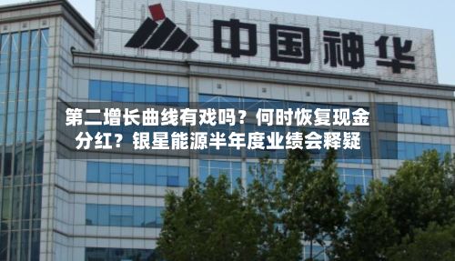 第二增长曲线有戏吗？何时恢复现金分红？银星能源半年度业绩会释疑