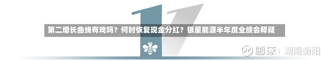 第二增长曲线有戏吗？何时恢复现金分红？银星能源半年度业绩会释疑-第2张图片