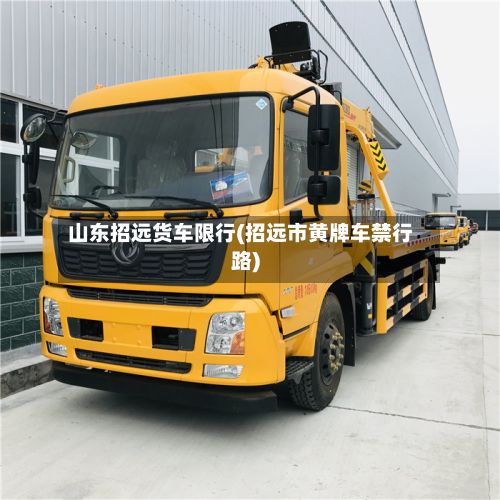 山东招远货车限行(招远市黄牌车禁行路)