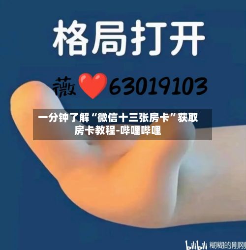 一分钟了解“微信十三张房卡”获取房卡教程-哔哩哔哩-第2张图片