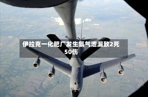 伊拉克一化肥厂发生氨气泄漏致2死50伤-第2张图片