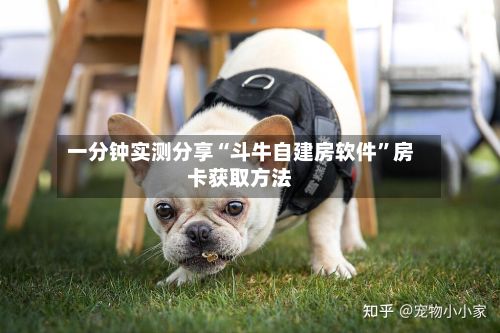 一分钟实测分享“斗牛自建房软件	”房卡获取方法-第2张图片