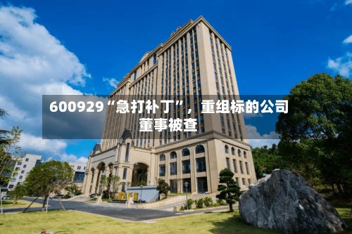600929“急打补丁”，重组标的公司董事被查-第2张图片