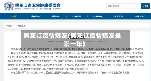 黑龙江疫情爆发(黑龙江疫情爆发是哪一年)-第2张图片