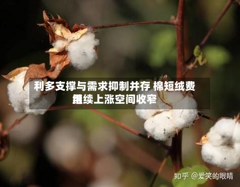 利多支撑与需求抑制并存 棉短绒费用
继续上涨空间收窄-第1张图片
