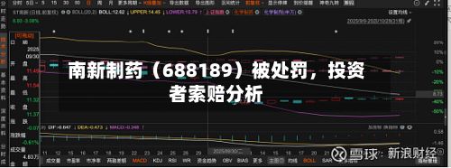 南新制药（688189）被处罚	，投资者索赔分析-第3张图片