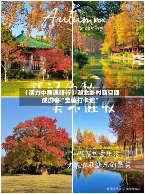 （活力中国调研行）湖北乡村新空间成游客“宝藏打卡地”-第2张图片