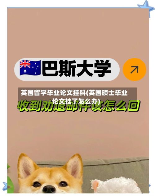 英国留学毕业论文挂科(英国硕士毕业论文挂了怎么办)-第2张图片