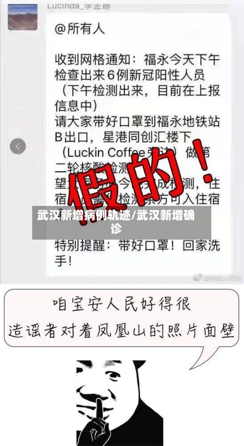 武汉新增病例轨迹/武汉新增确诊