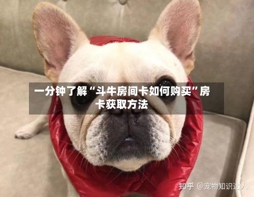 一分钟了解“斗牛房间卡如何购买”房卡获取方法-第3张图片