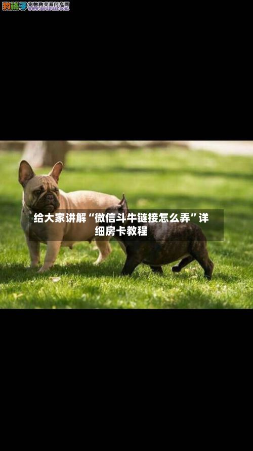 给大家讲解“微信斗牛链接怎么弄”详细房卡教程-第2张图片