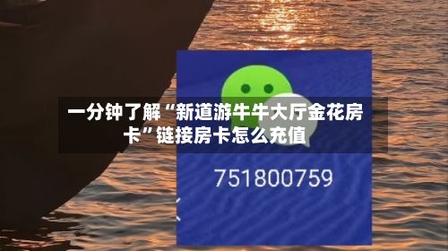 一分钟了解“新道游牛牛大厅金花房卡”链接房卡怎么充值-第2张图片