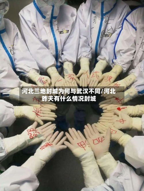 河北三地封城为何与武汉不同/河北昨天有什么情况封城-第3张图片