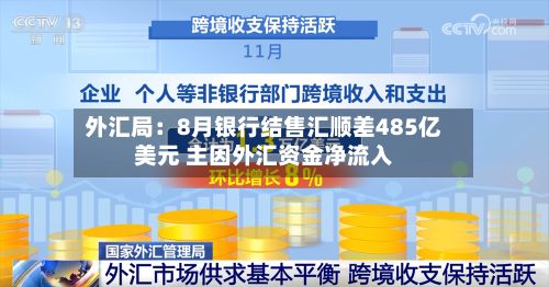 外汇局:8月银行结售汇顺差485亿美元 主因外汇资金净流入-第2张图片