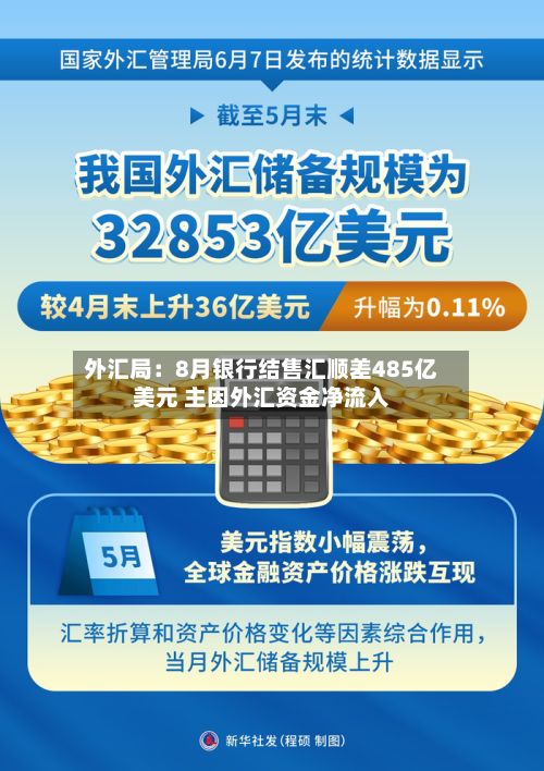 外汇局:8月银行结售汇顺差485亿美元 主因外汇资金净流入