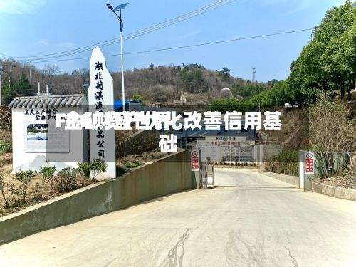 FPG财盛世界:金矿资产优化改善信用基础-第2张图片