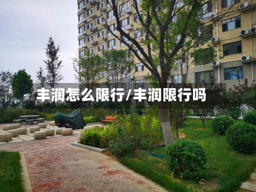 丰润怎么限行/丰润限行吗-第2张图片
