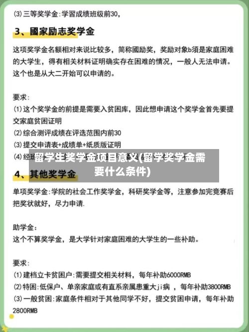 留学生奖学金项目意义(留学奖学金需要什么条件)