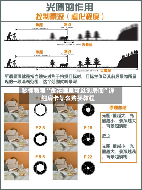 秒懂教程“金花哪里可以创房间”详细房卡怎么购买教程-第2张图片